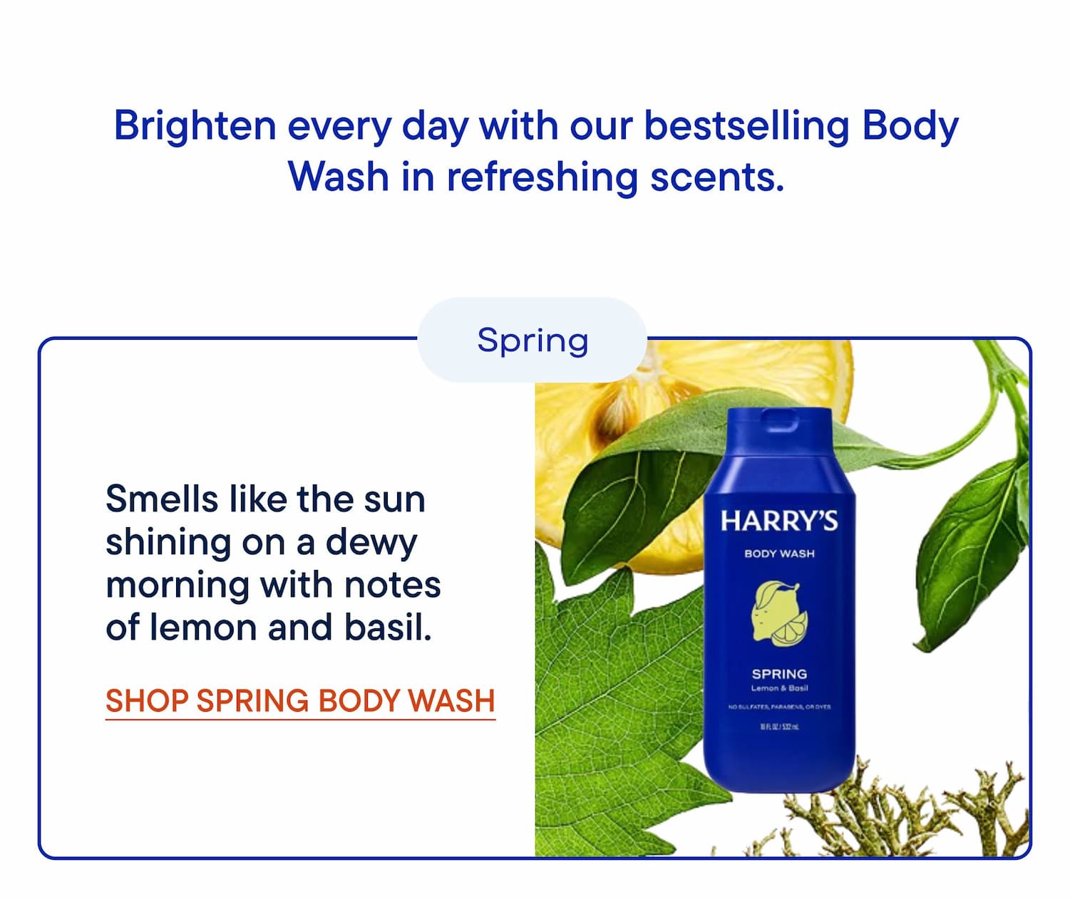 Smells like the sun shining on a dewy morning with notes of lemon and basil.