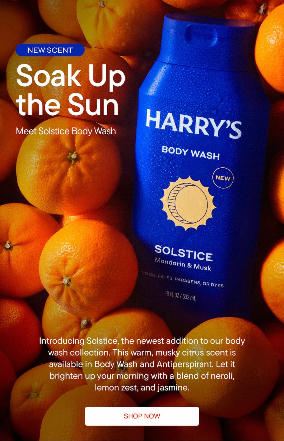 Meet Solstice Body Wash