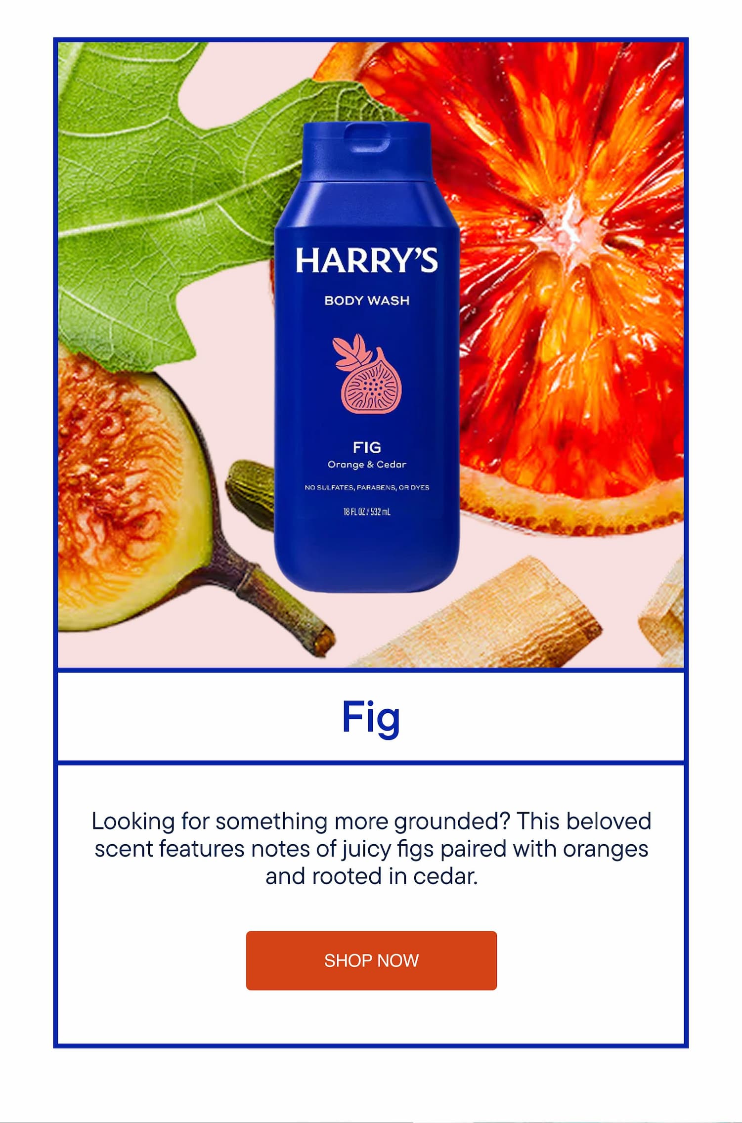 Harry's Fig Body Wash