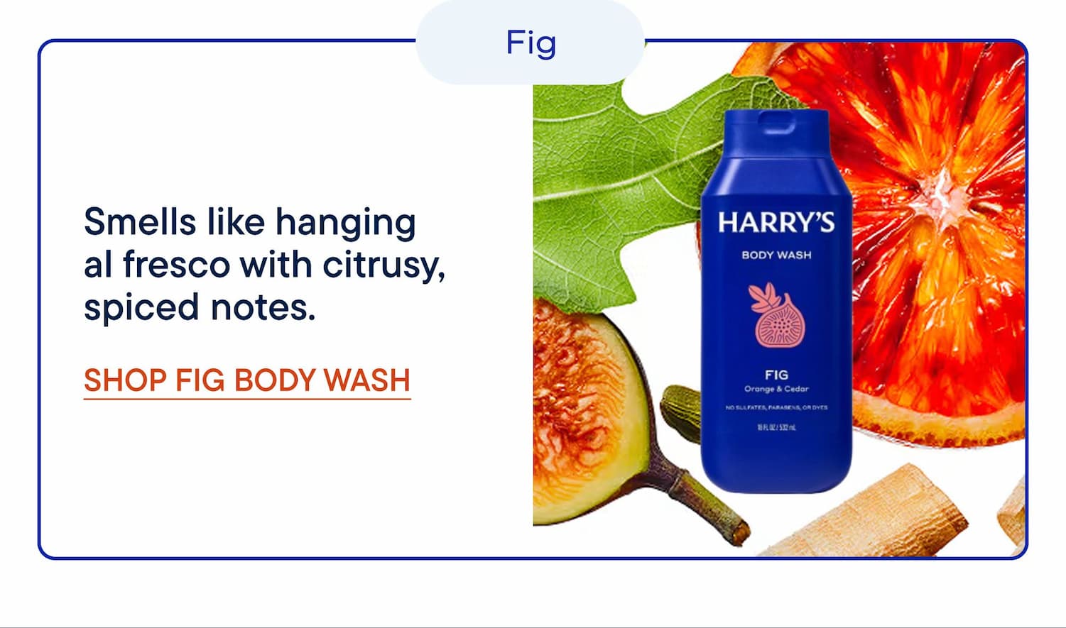 Smells like hanging al fresco with citrusy, spiced notes.