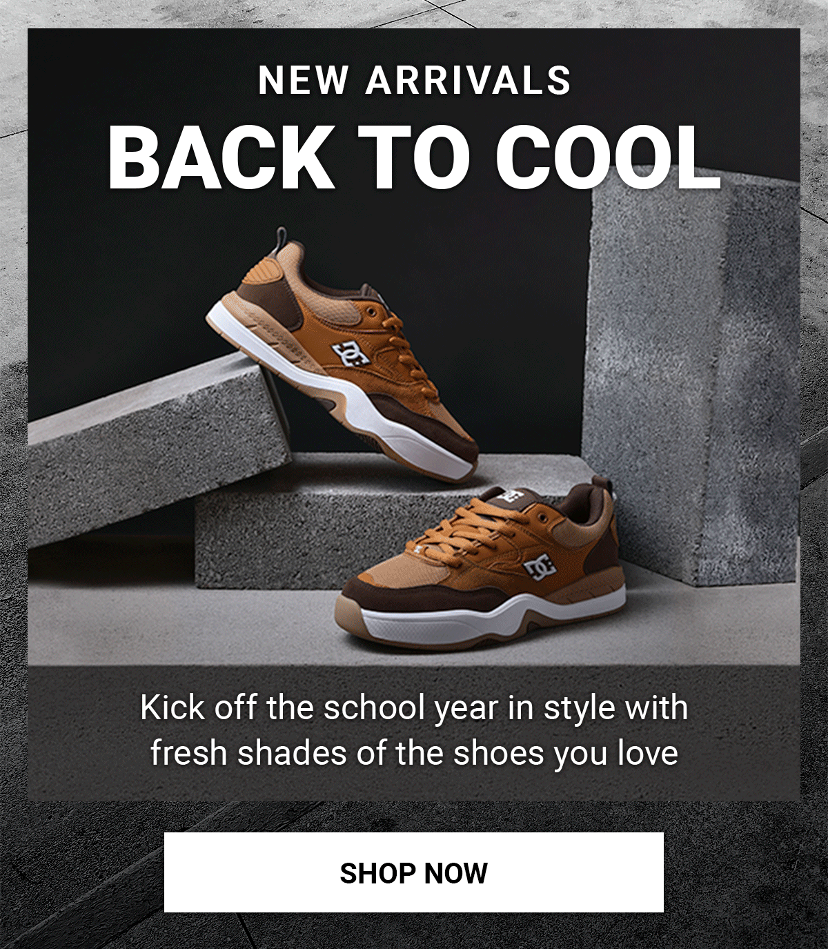 Shop Now