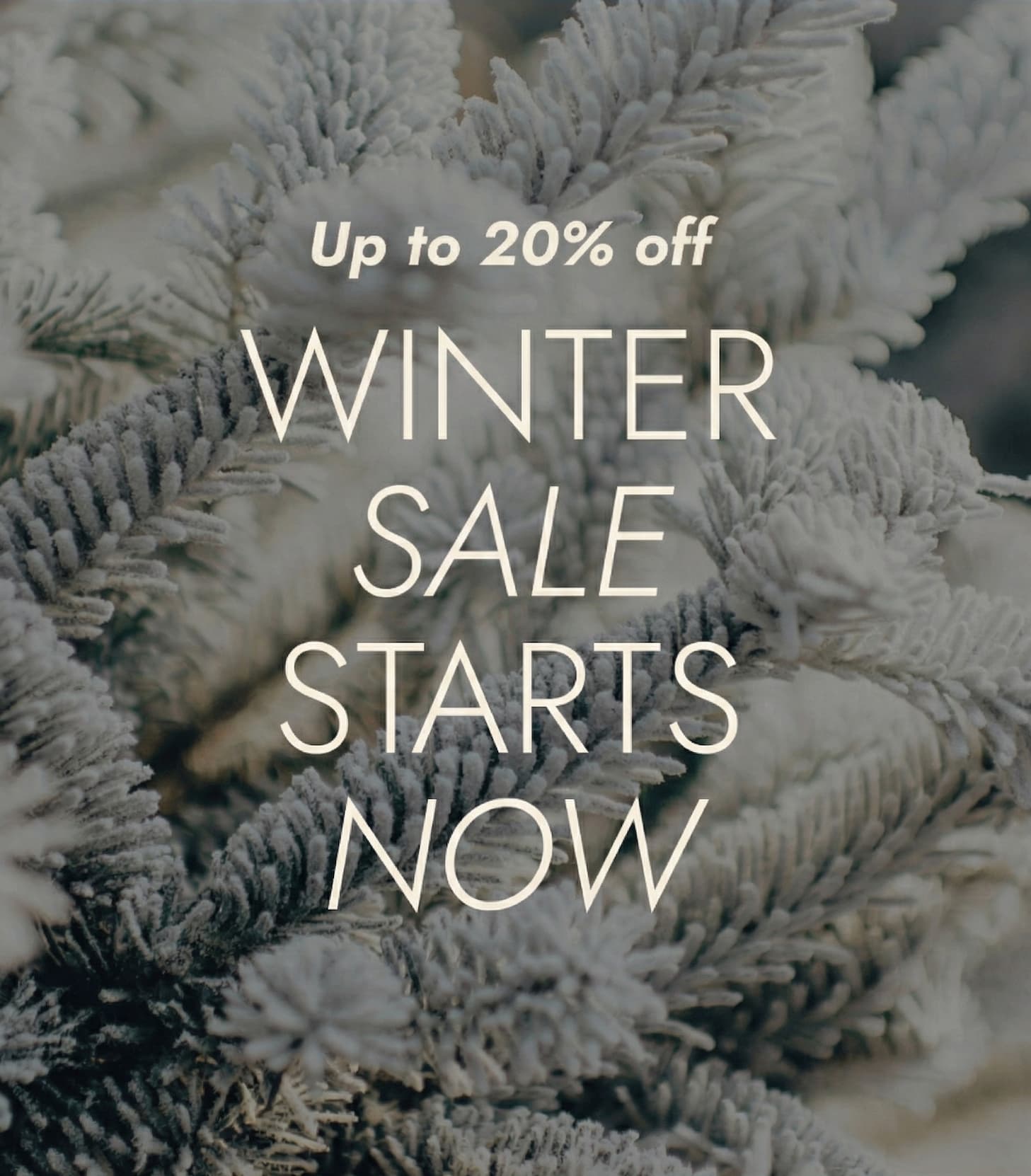 up to 15% off Winter Sale starts now