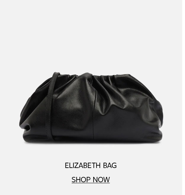ELIZABETH POUCH BAG | SHOP NOW