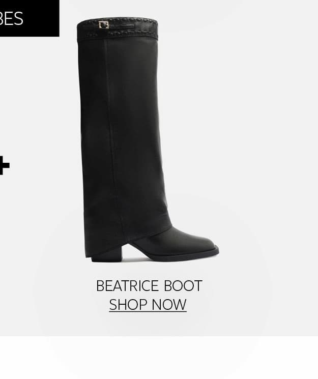 BEATRICE BOOT  |  SHOP NOW
