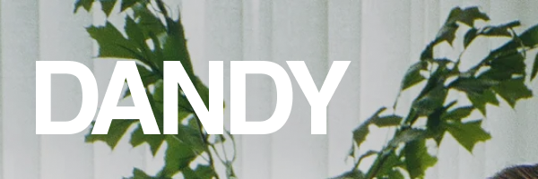 Dandy