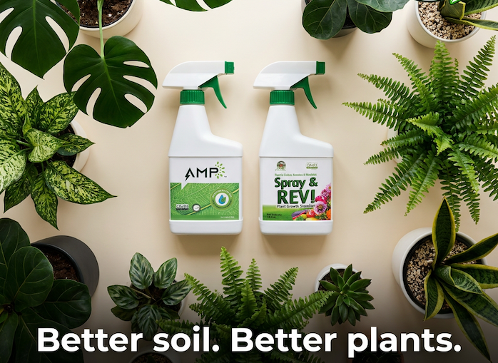 AMP Ready-To-Use Spray