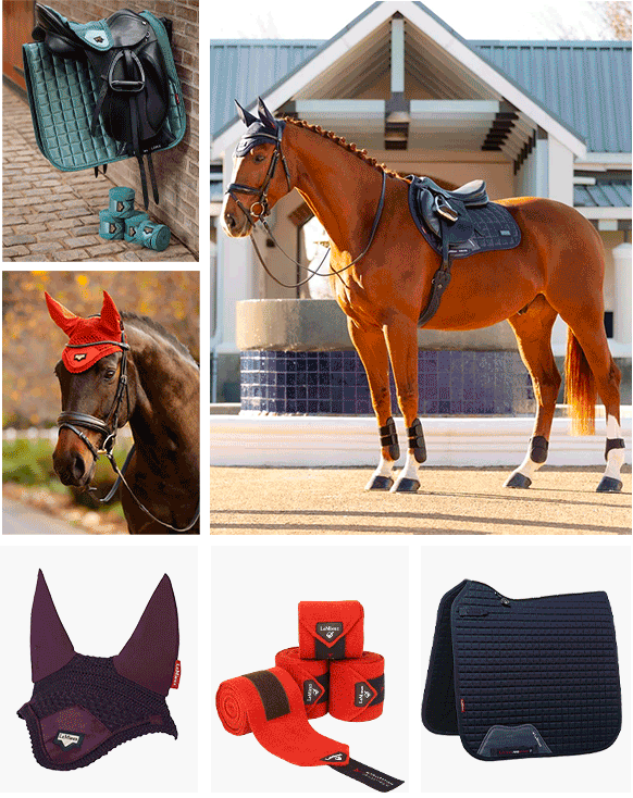 Spice Up Your Horse's Wardrobe The Cheshire Horse