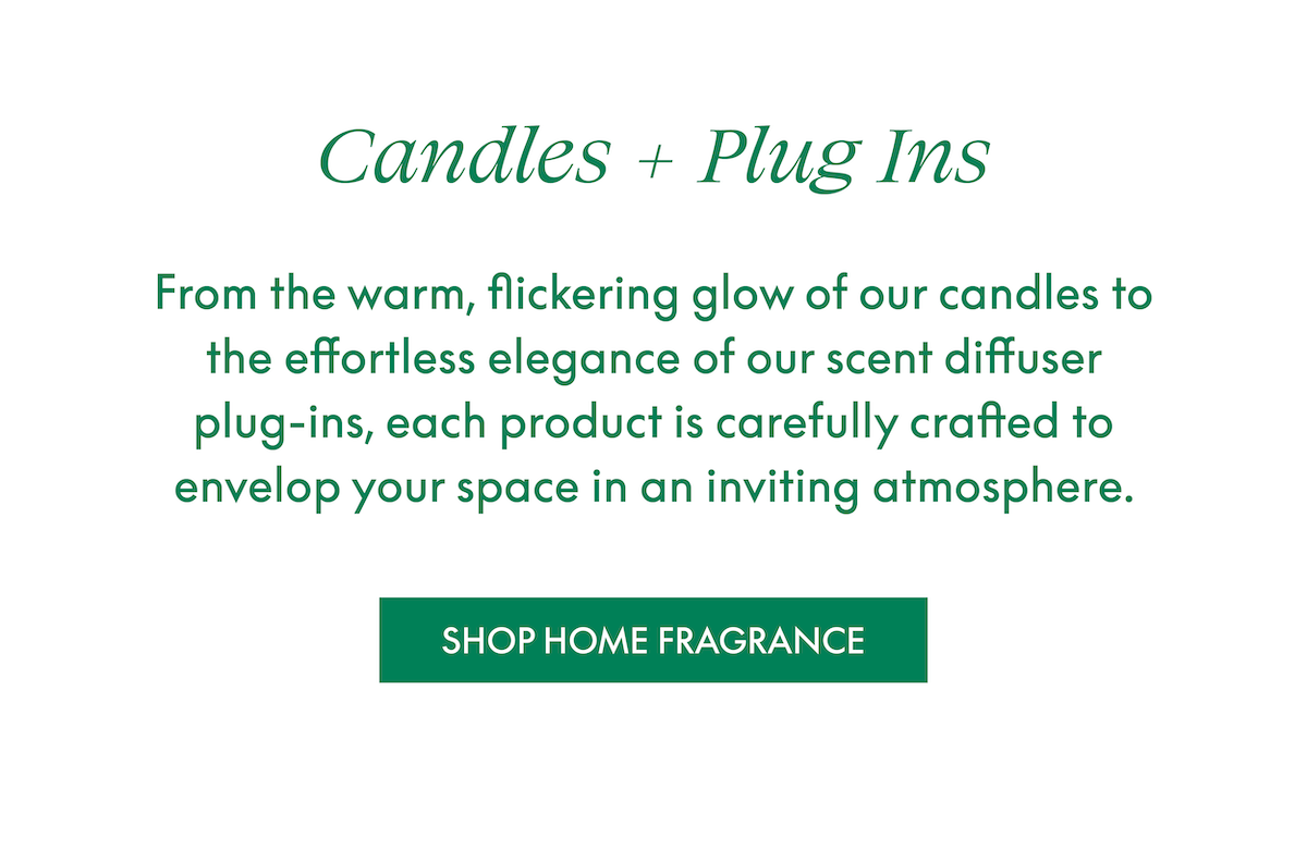 Candles and plug in