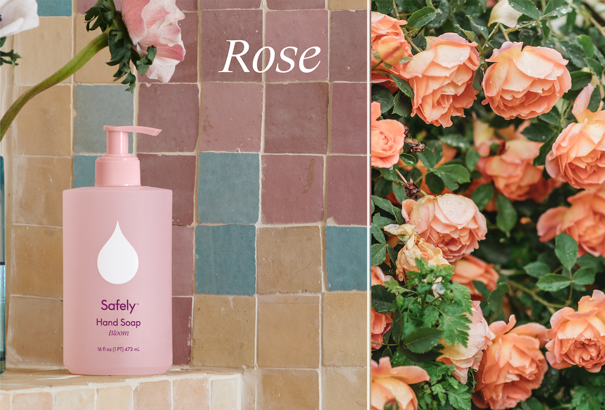 Shop bloom