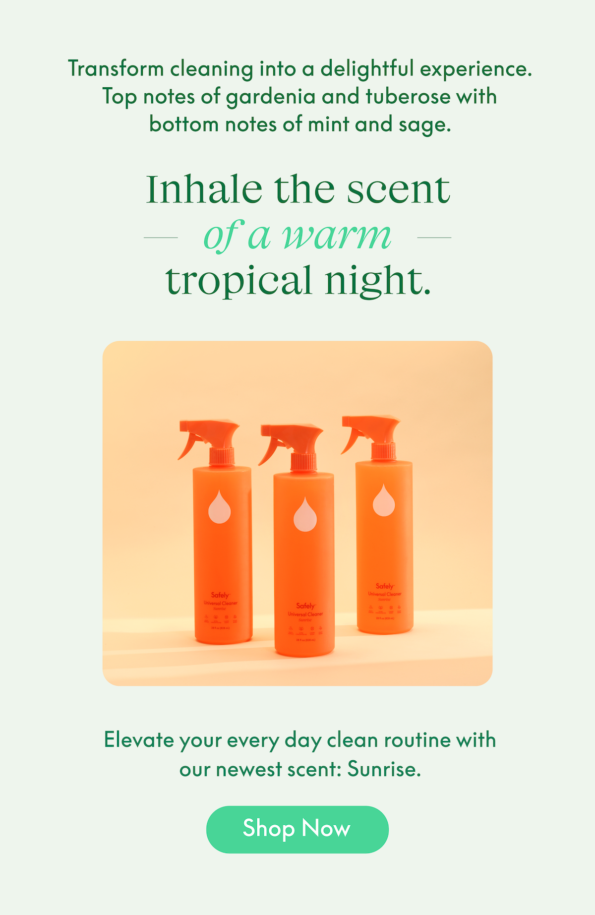 Inhale the scent of a warm tropical night