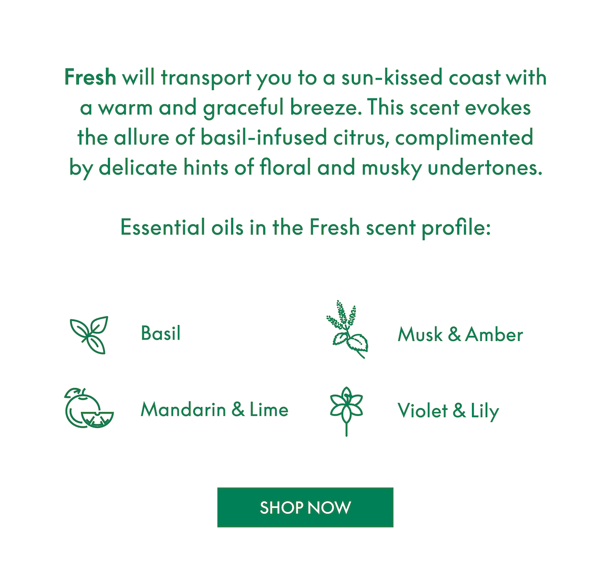 Scented with Basil, Musk, Amber, Mandarin, Lime, Violet, Lily