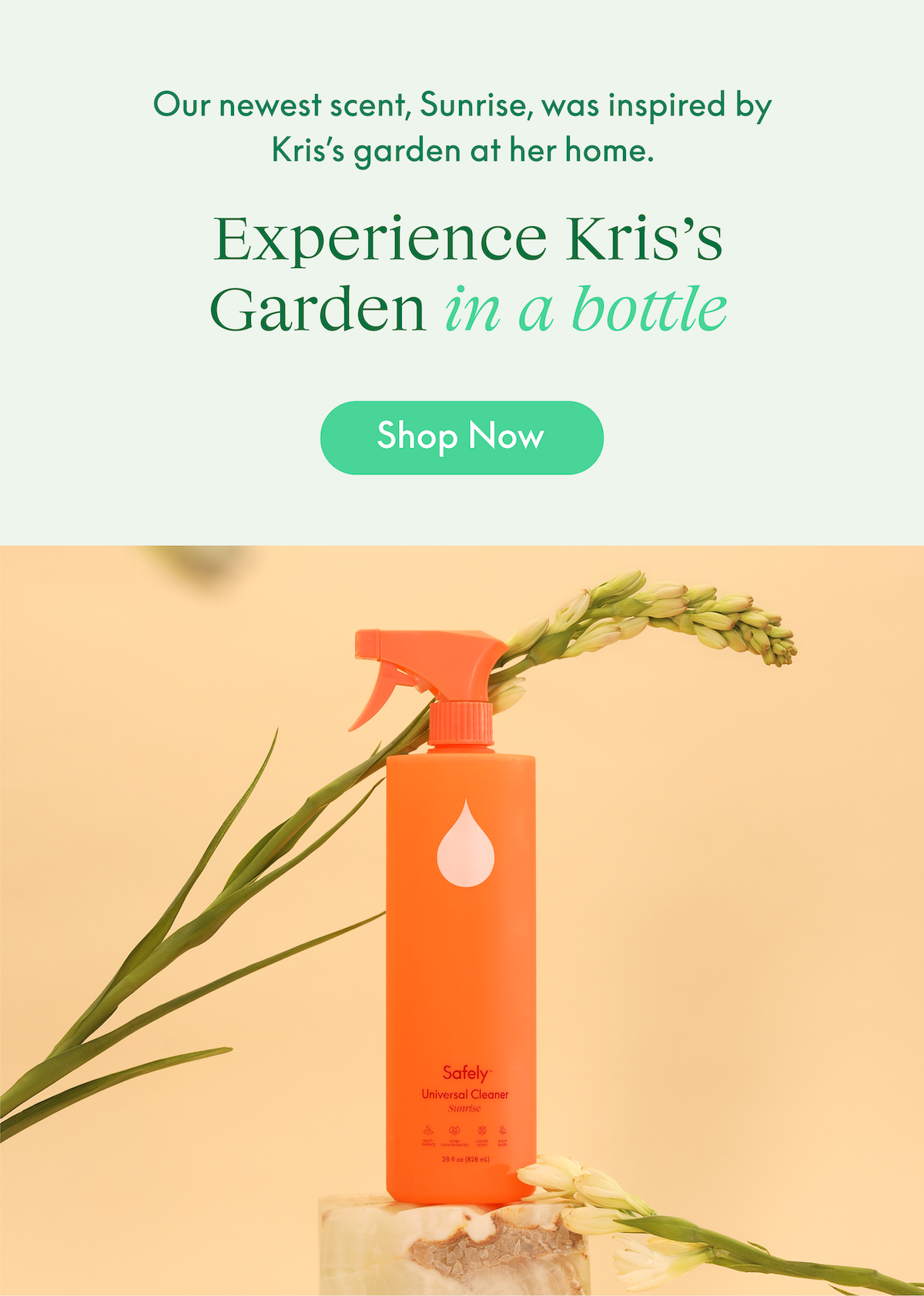 Experience Kris's garden in a bottle