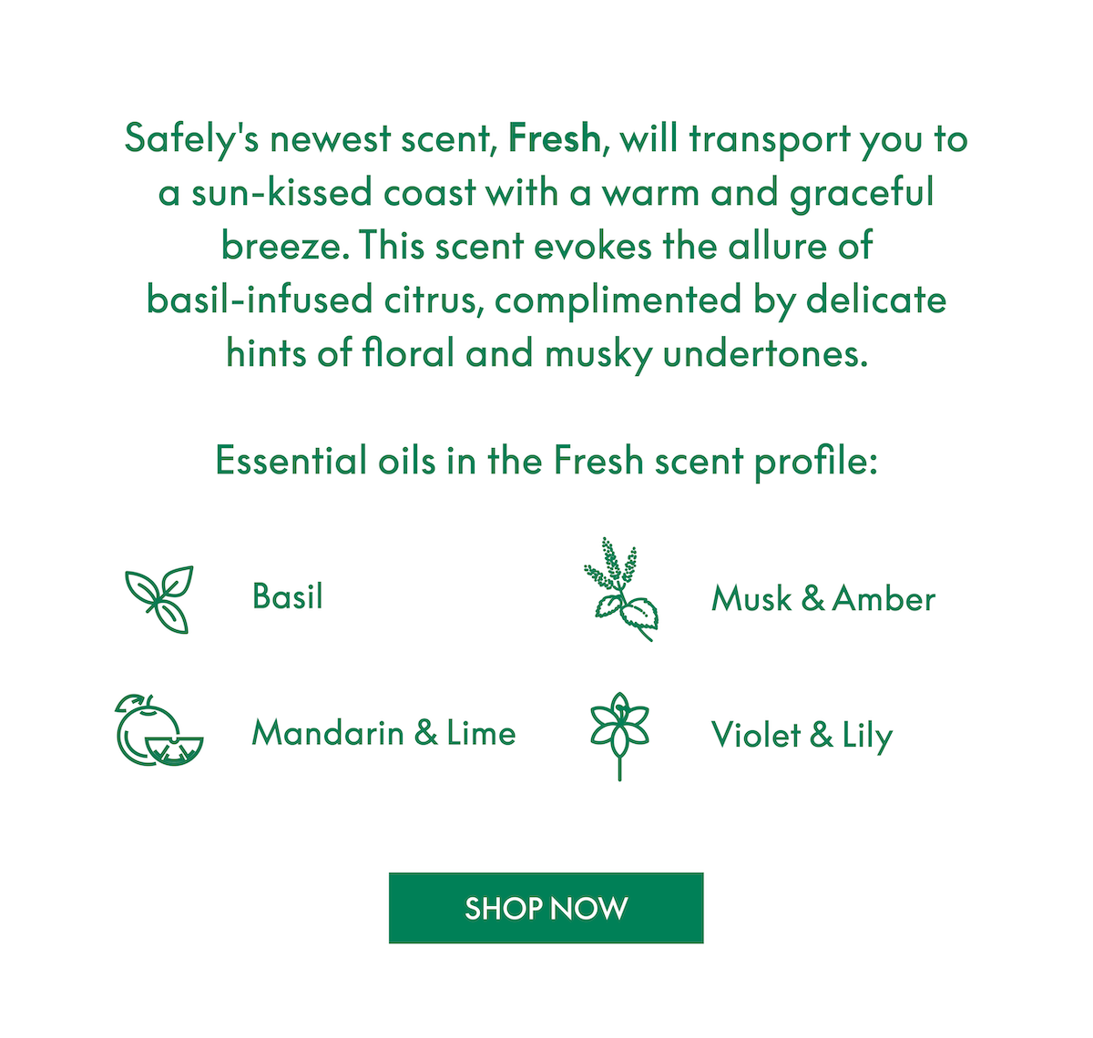 Scented with Basil, Musk, Amber, Mandarin, Lime, Violet, Lily