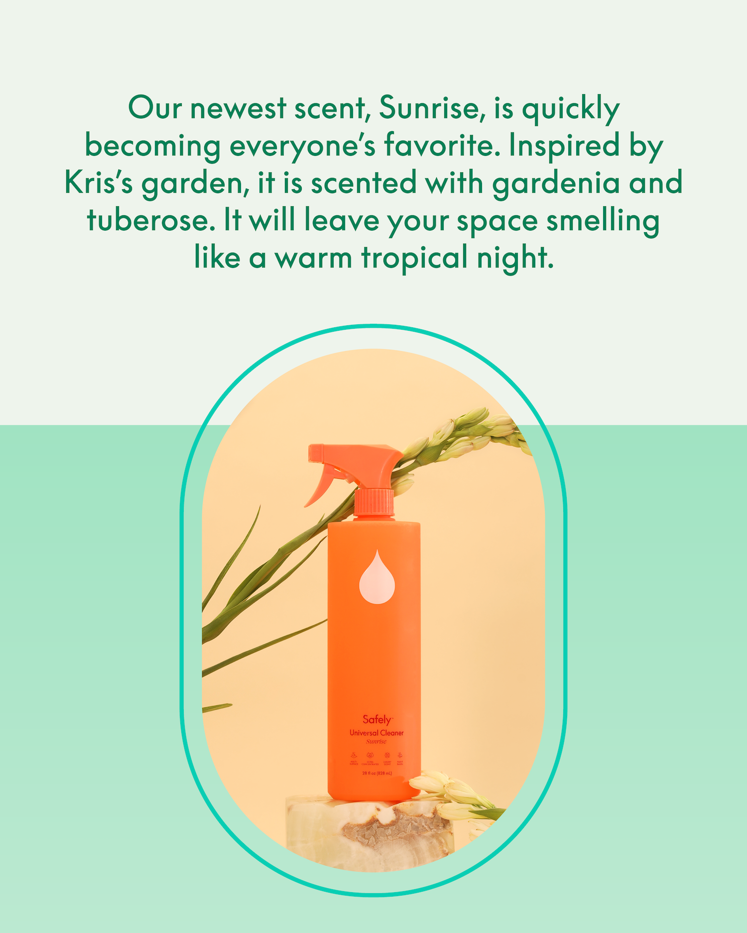 Experience Kris's garden in a bottle
