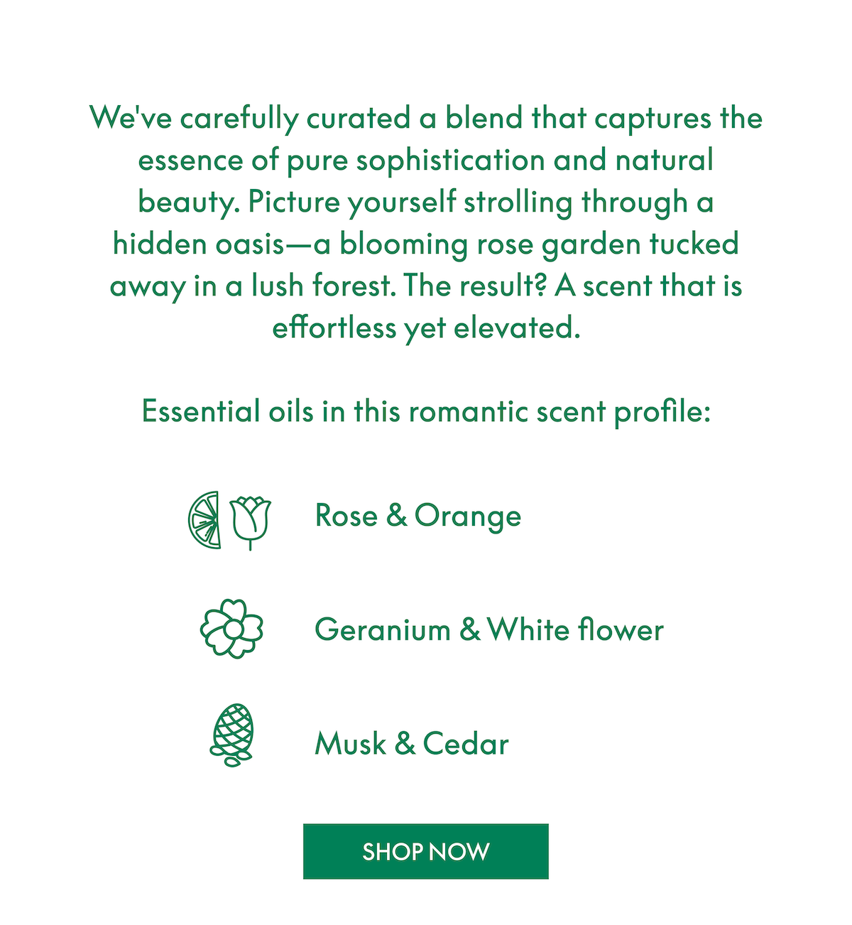 Romantic scent profile. Shop Bloom