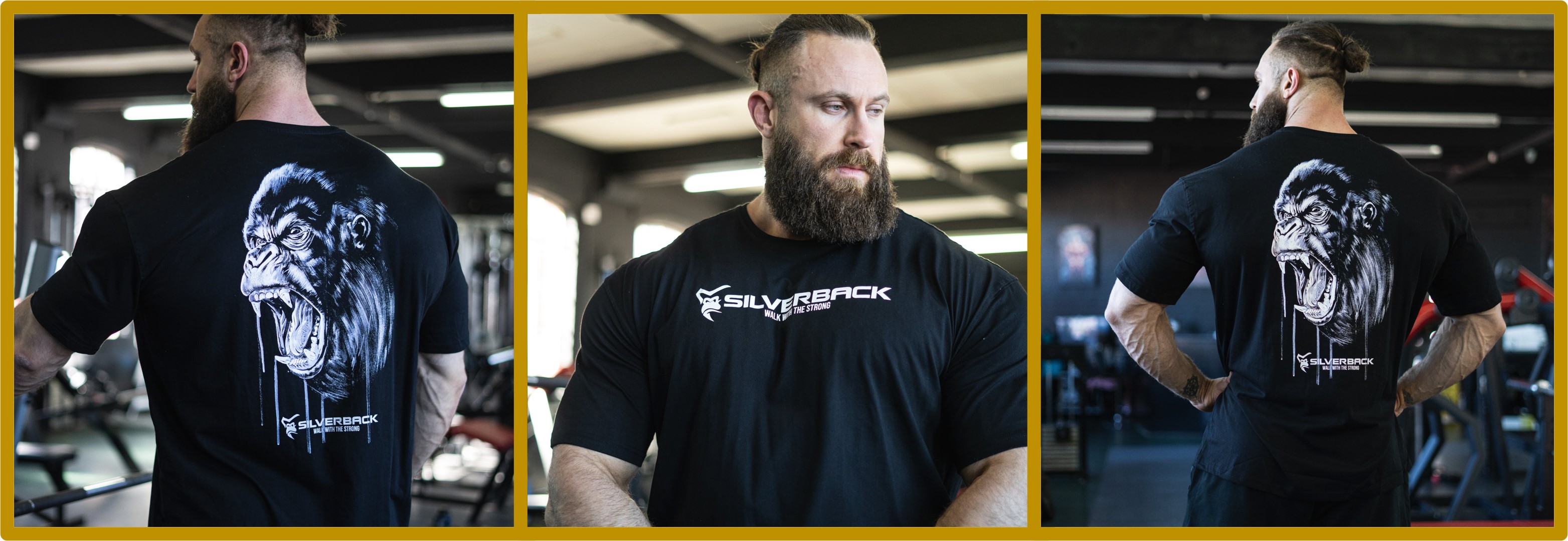 Alpha T-Shirts - Silverback Gym Wear