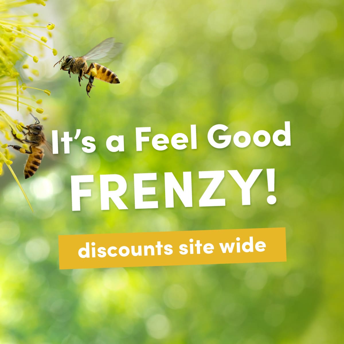 Feel Good Sale Time! 🐝 Biome