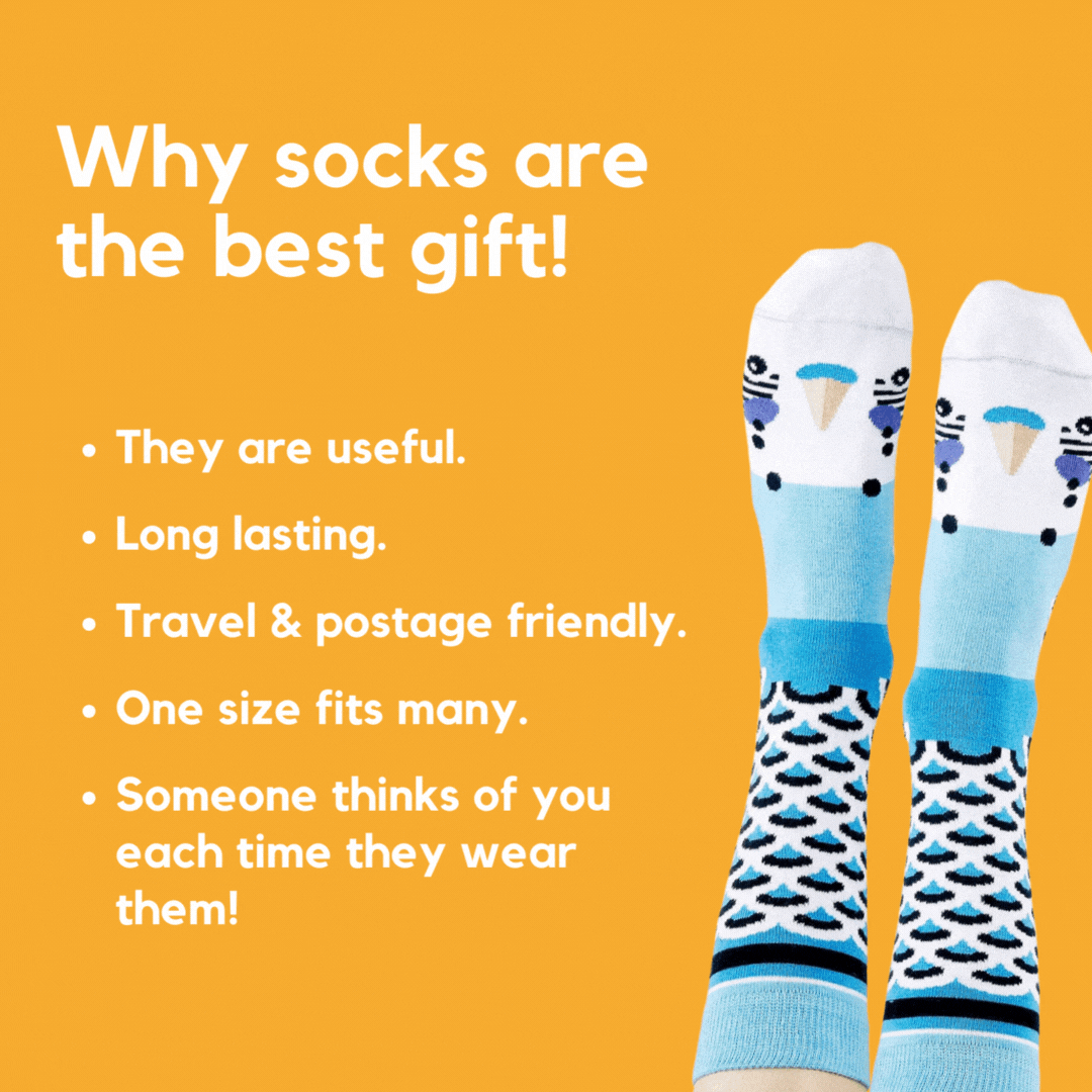 The Greatest Gift Of All Time? Biome