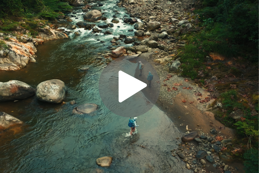 F3T Official Trailer