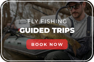 Fly Fishing Guided Trips: Book Now