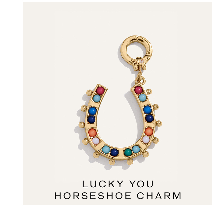 Lucky You Reversible Horseshoe Charm