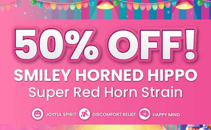 Slow Rainbow Hippo 50% off sale