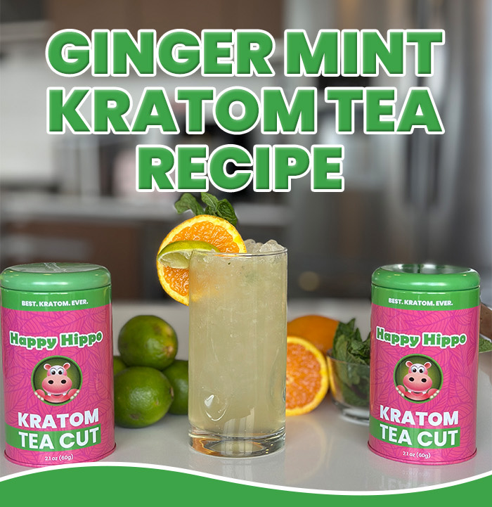 Ginger Mint Kratom Tea Recipe 