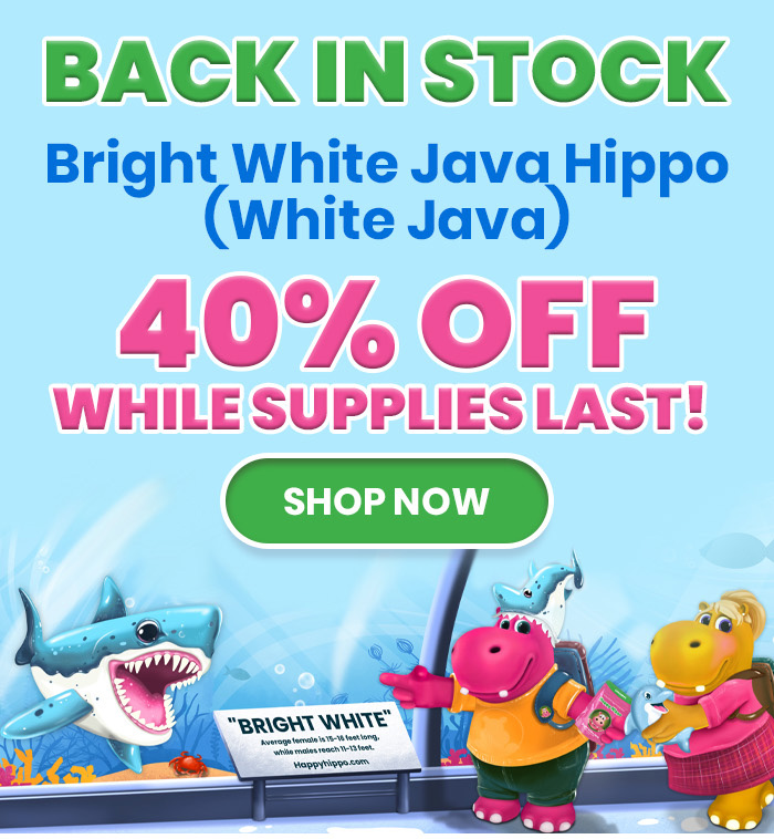 BACK IN STOCK! Bright White Java Hippo (White Java) 40% OFF While Supplies Last!