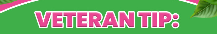 Veteran Tip: