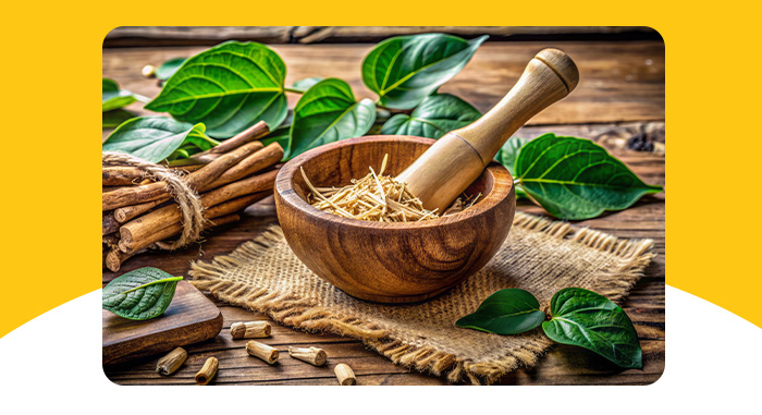 Kratom vs Kava - How You Can Get the Greatest Benefit