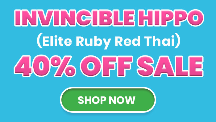 Invincible Hippo (Elite Ruby Red Thai)  40% OFF SALE 