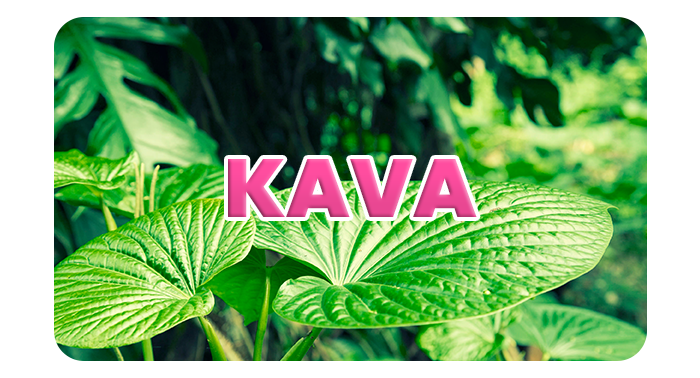 KAVA