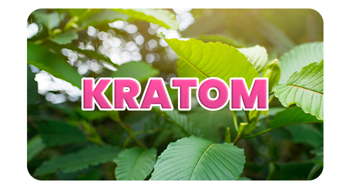 KRATOM