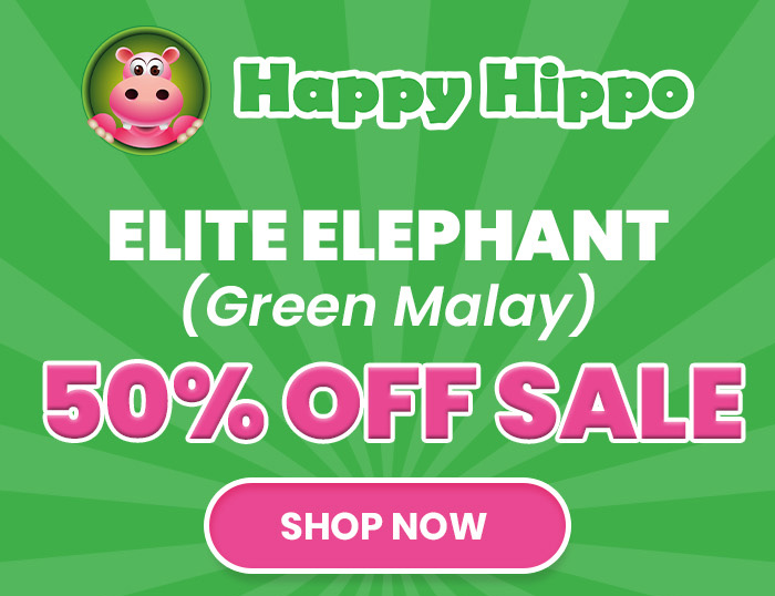 Elite Elephant (Green Malay) 50% OFF SALE 