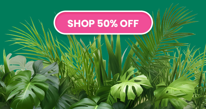 SHOP 50% OFF