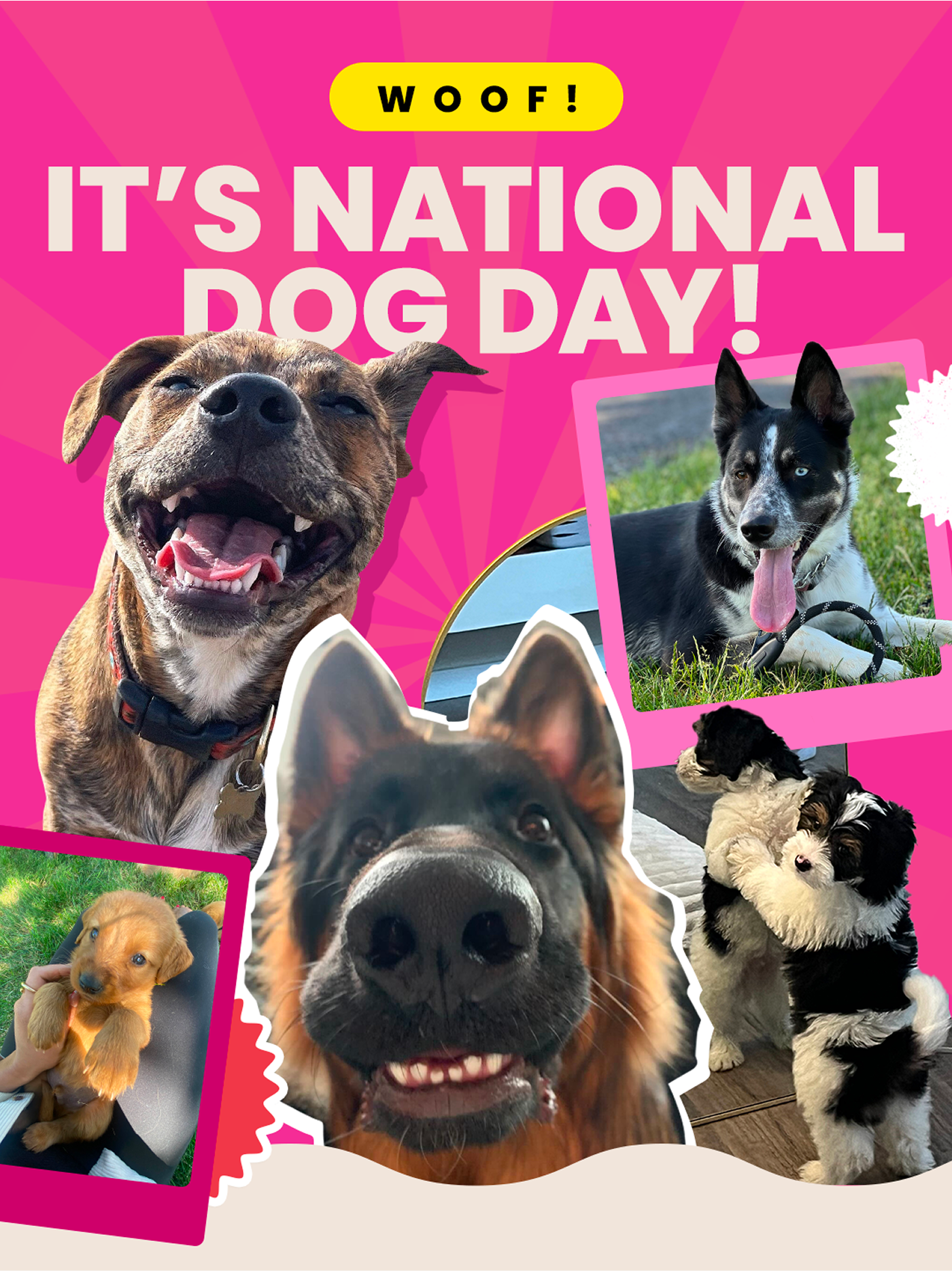 WOOF! IT'S NATIONAL DOG DAY!