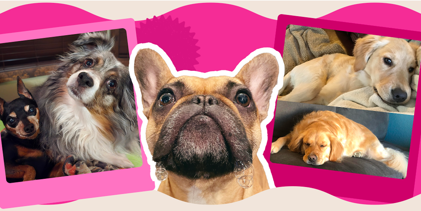 Show us your furry friend