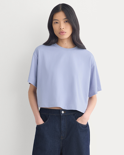 Image | Model | Forever Jersey Cropped Tee | Aleutian | 