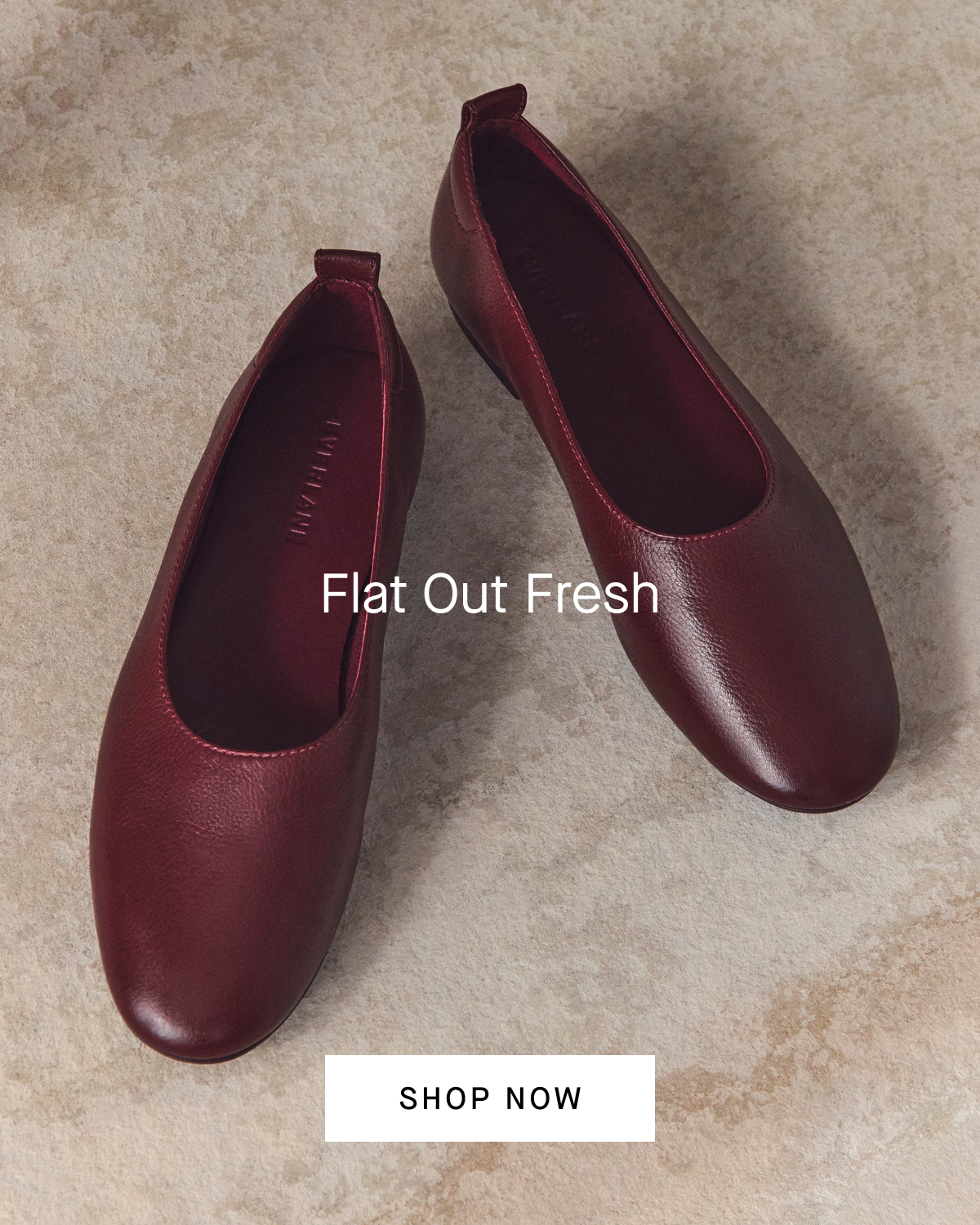 Image | Flat Out Fresh | Shop Now