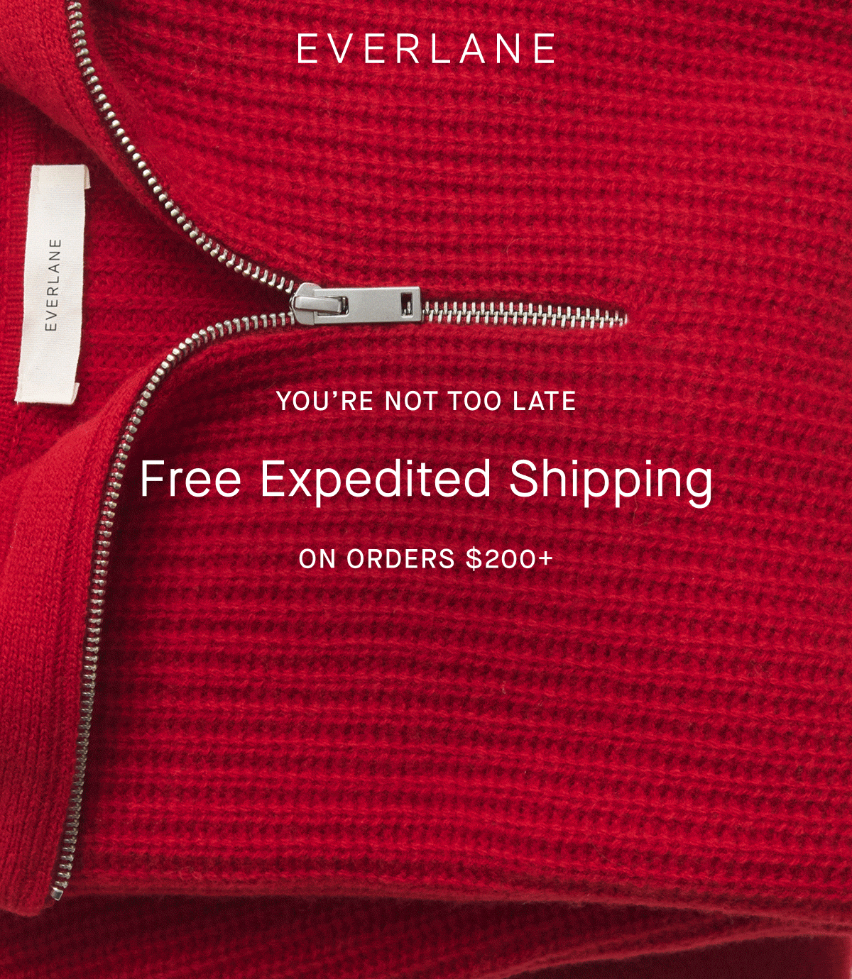 Everlane | GIF | You’re Not Too Late | Free Expedited Shipping | ON ORDERS $200+