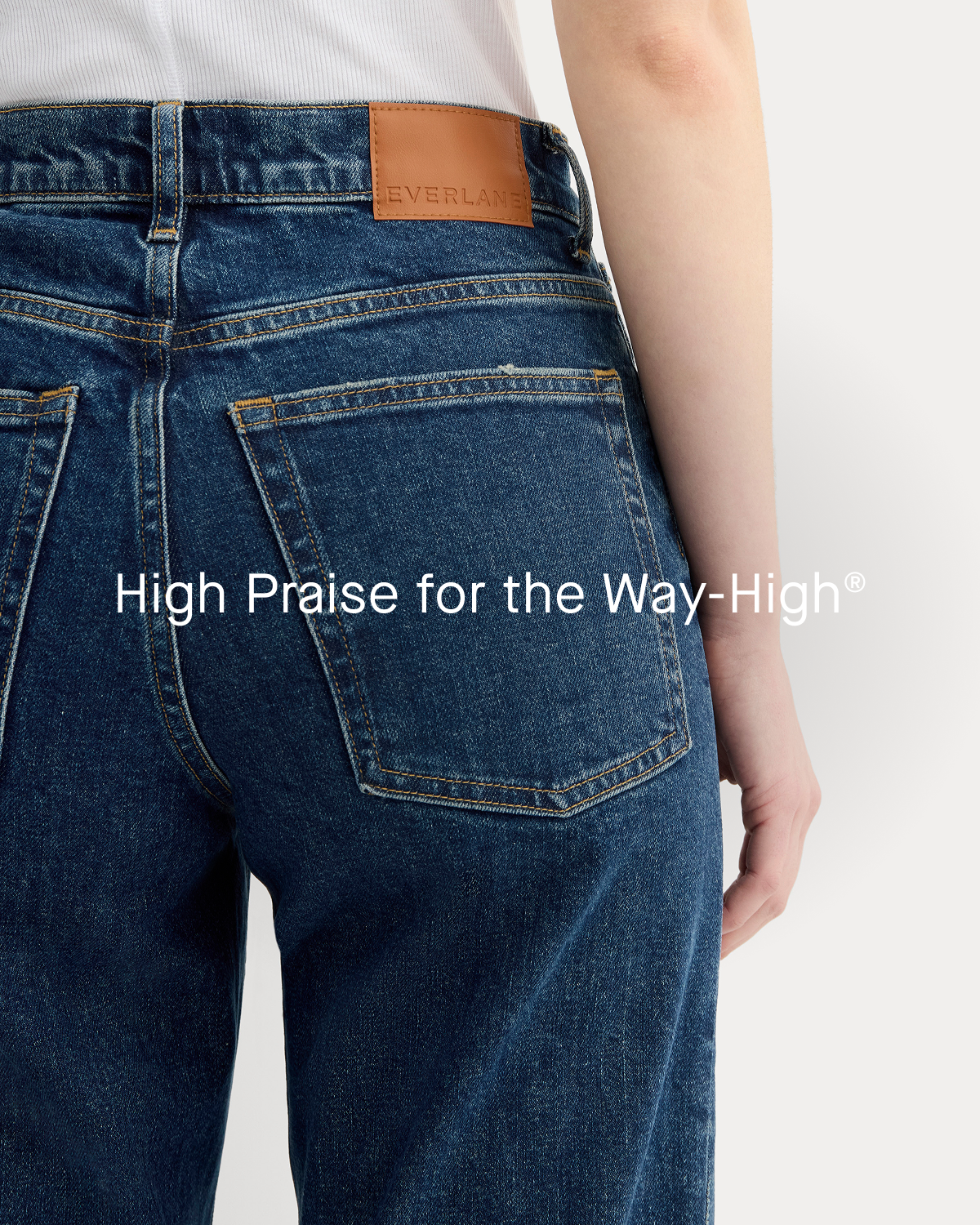 Image | High Praise for the Way-High®