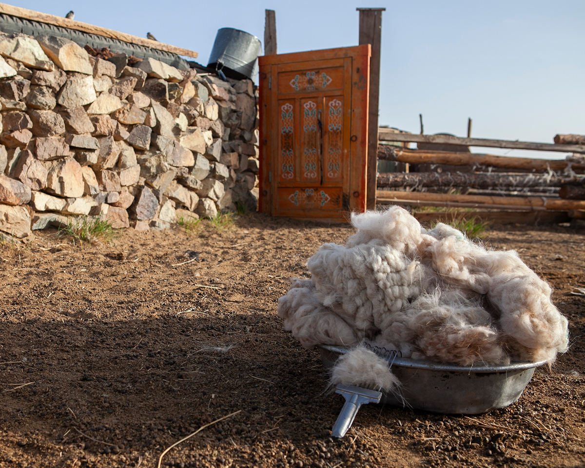 Image | Sheared undercoat in metal bowl