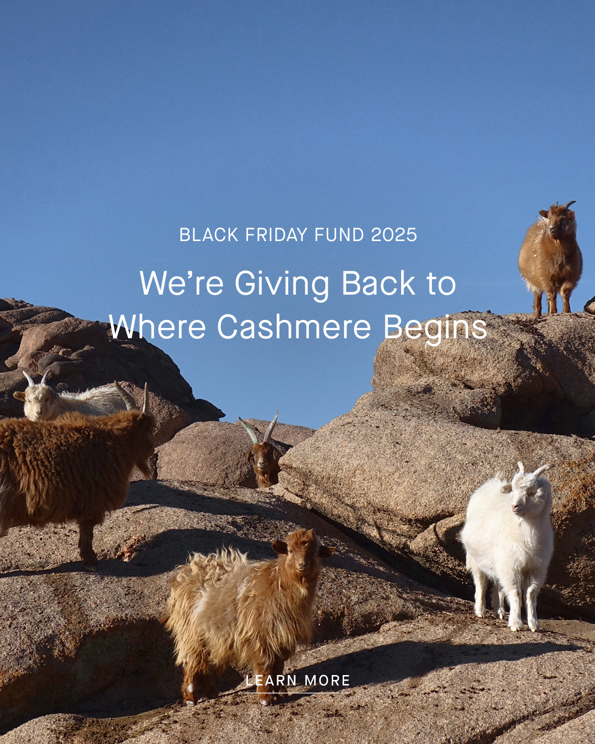 Image | Black Friday Fund 2025 | We’re Giving Back to Where Cashmere Begins |  Learn More
