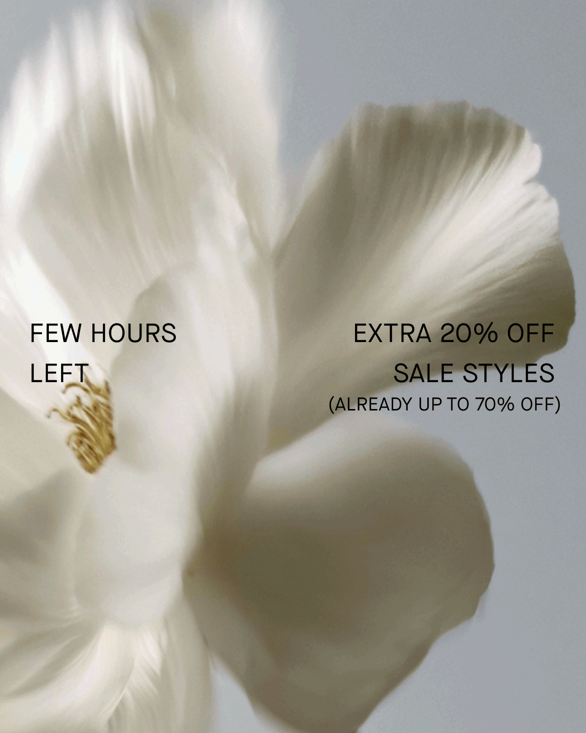 Promo | Few Hours Left | Extra 20% Off Sale Styles | (Already Up To 70% Off)