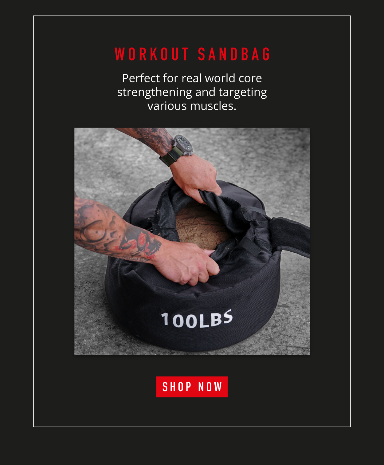 Workout Sandbag.    Perfect for real world core strengthening and targeting various muscles.     SHOP NOW