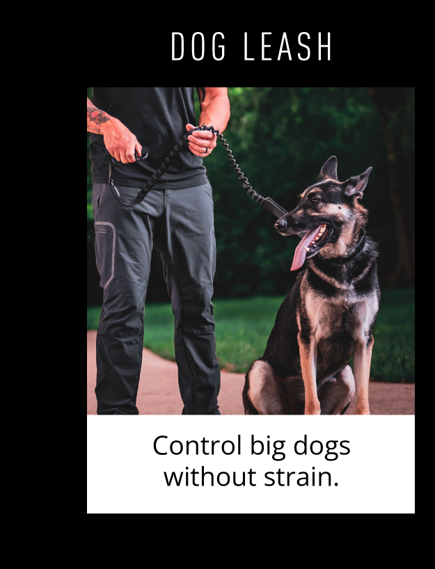 DOG LEASH Control big dogs without strain.