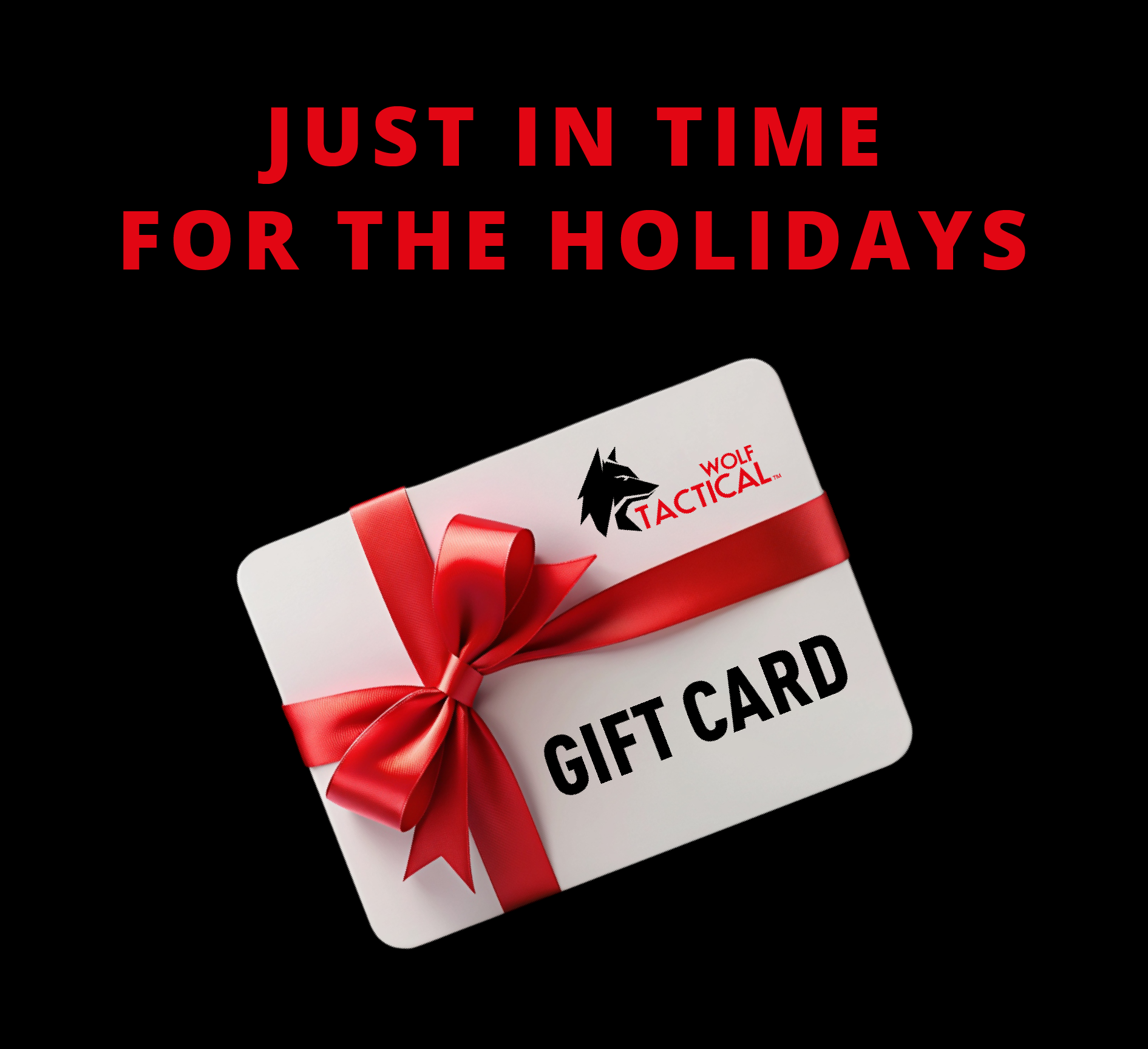 JUST IN TIME FOR THE HOLIDAYS