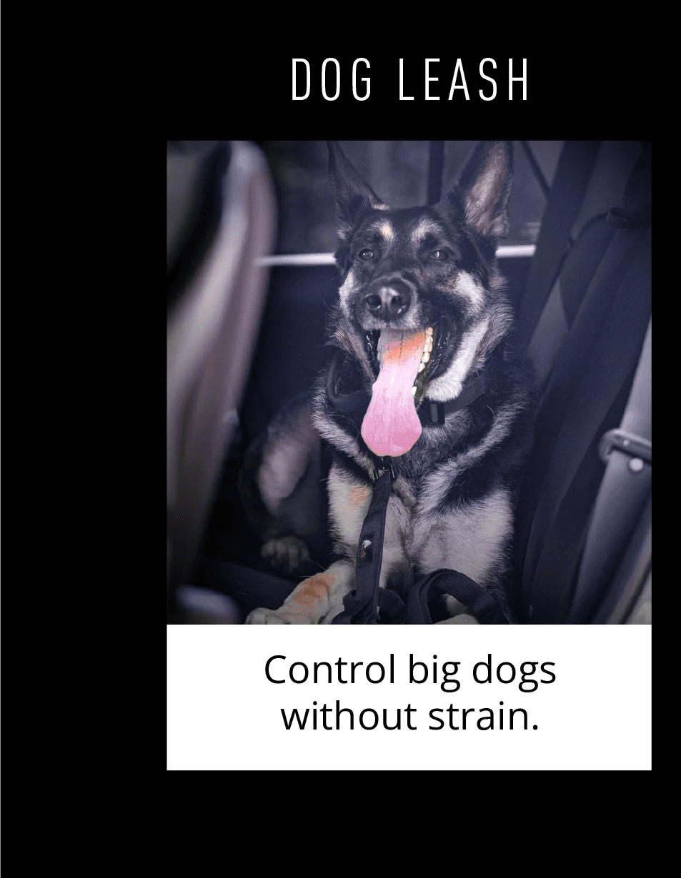 DOG LEASH Control big dogs without strain.