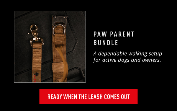 READY WHEN THE LEASH COMES OUT