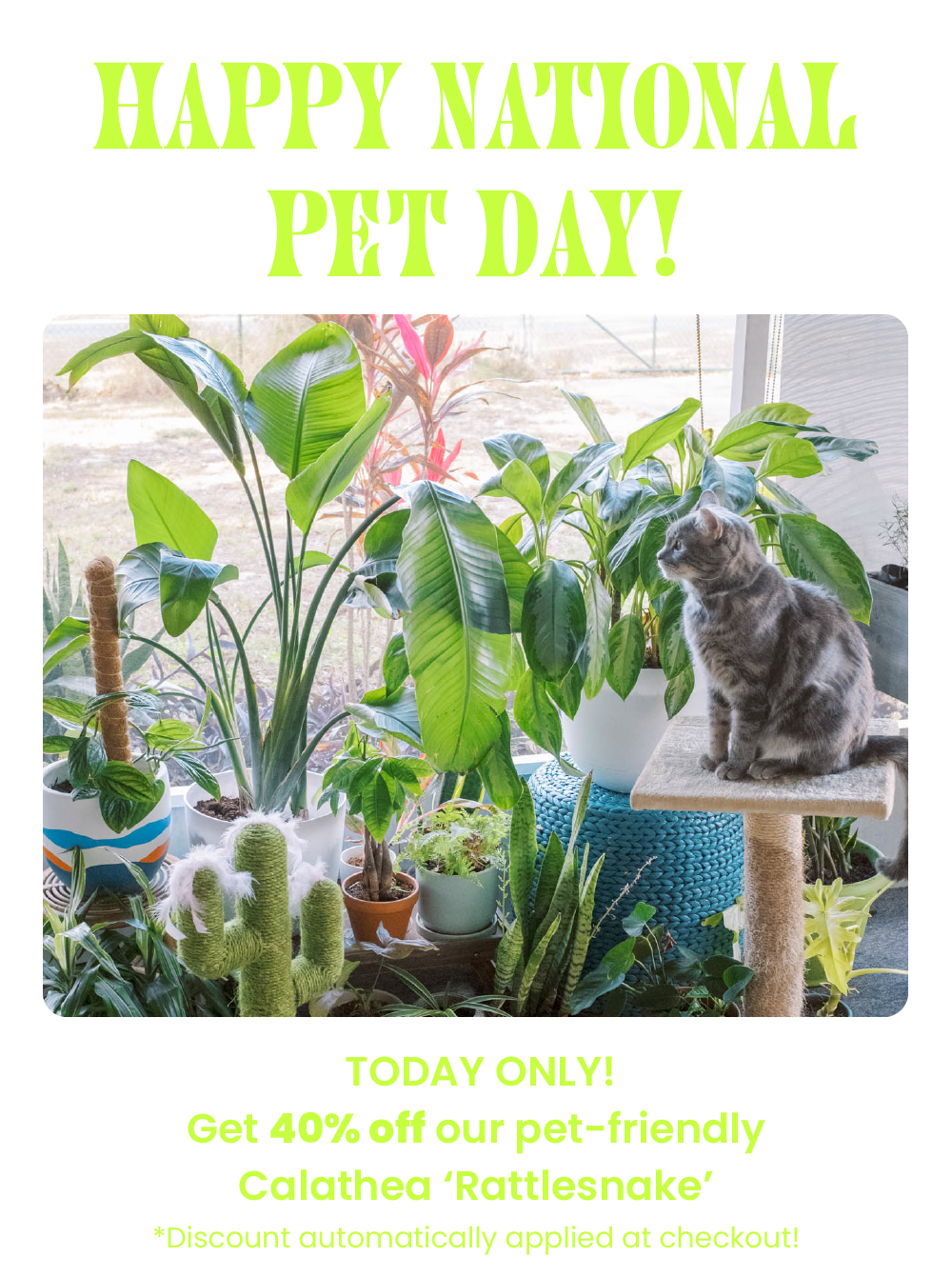 Happy National Pet Day! 🐱🌿🐶 House Plant Shop